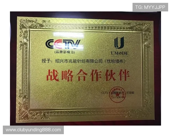 云顶集团4118官方网站合作伙伴与企业荣誉，展示企业实力与合作成果